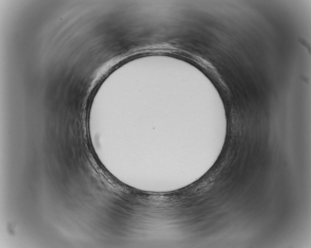 X0000099551176200806131205