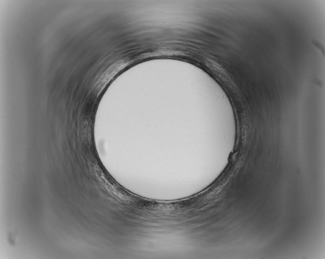 X0000099551177200806131205