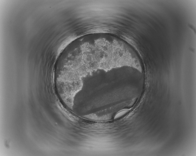 X0000099551179200806131205