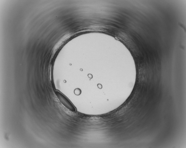 X0000099551180200806131205