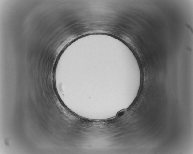 X0000099551181200806131205