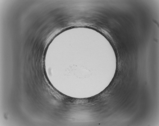 X0000099551183200806131205