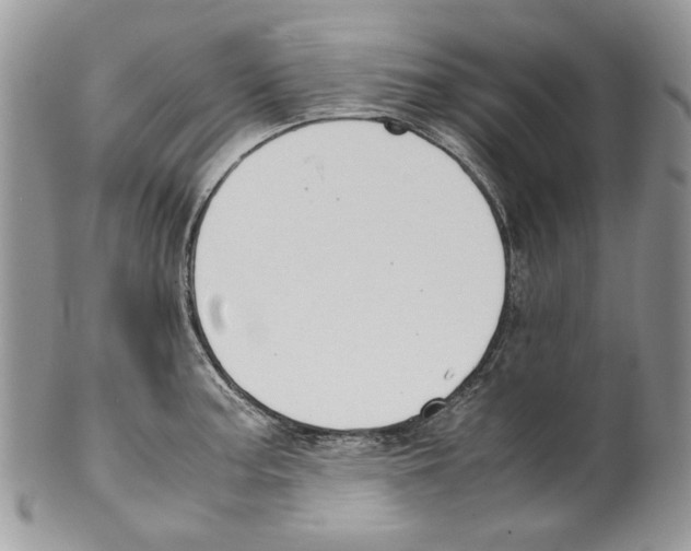 X0000099551187200806131205