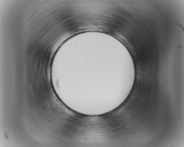 X0000099551188200806131205