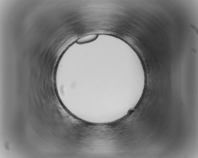 X0000099551189200806131205