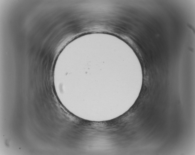 X0000099551191200806131205