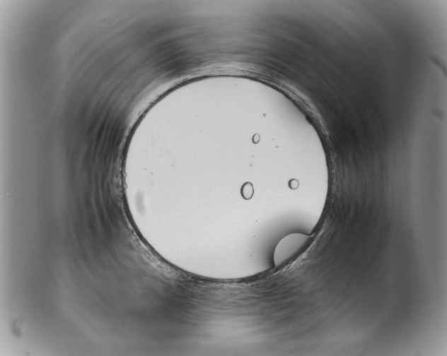 X0000099551192200806131205