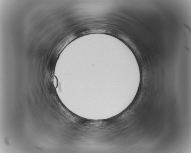 X0000099551193200806131205