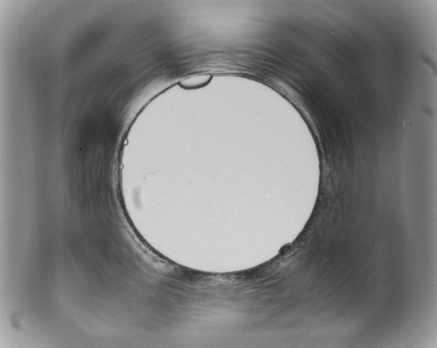 X0000099551195200806131205