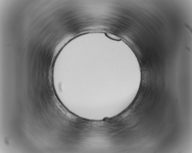 X0000099551196200806131205