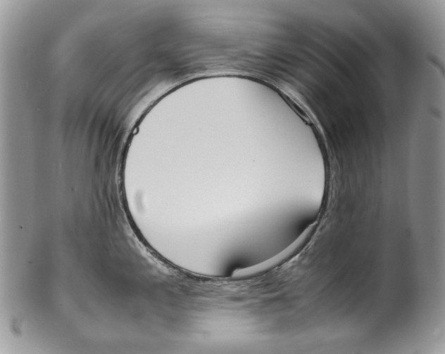 X0000099551197200806131205