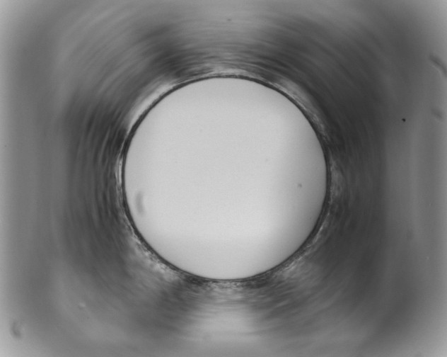 X0000099551198200806131205