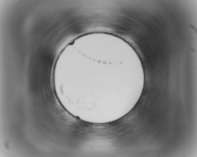 X0000099551199200806131205