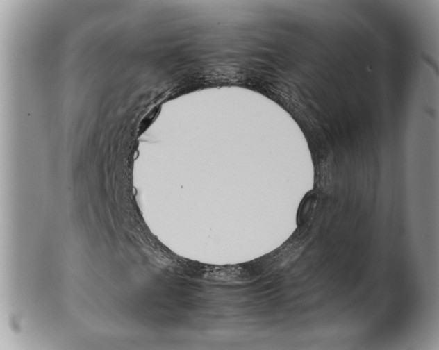 X0000099551201200806131204