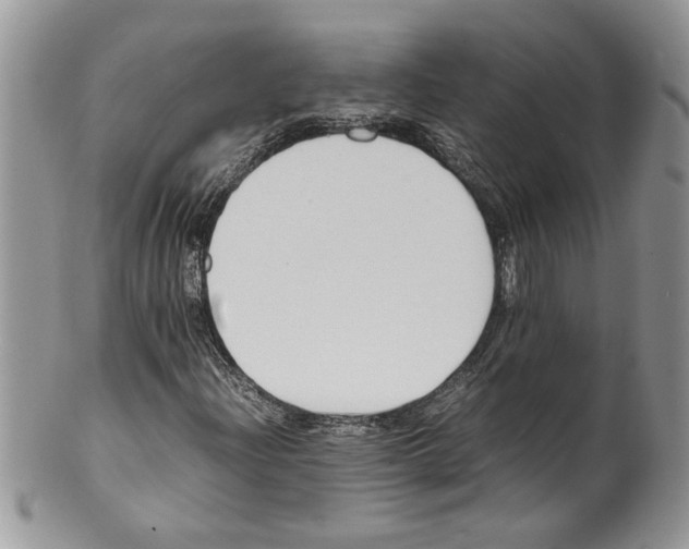 X0000099551204200806131204