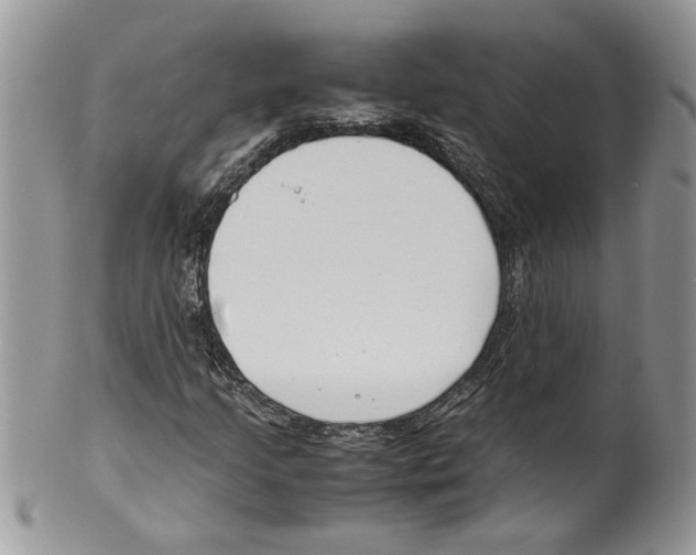 X0000099551205200806131204