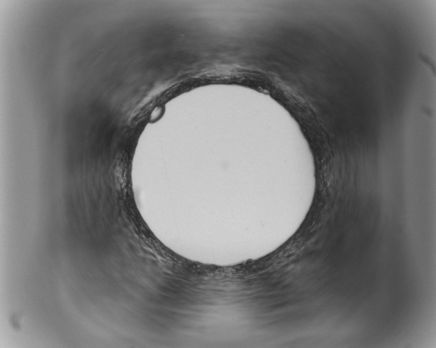 X0000099551206200806131204