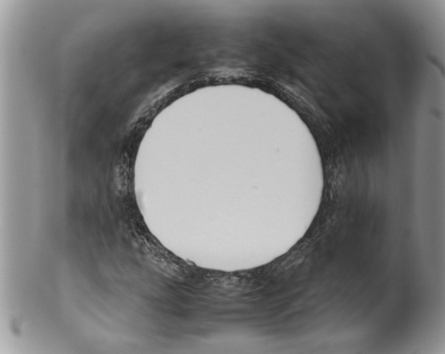 X0000099551207200806131204