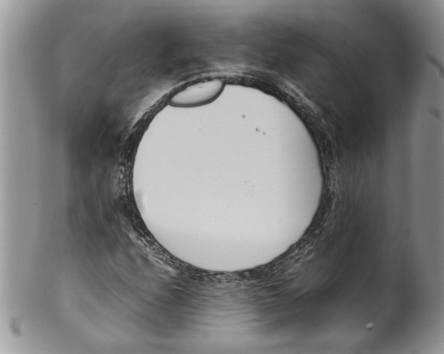 X0000099551208200806131204