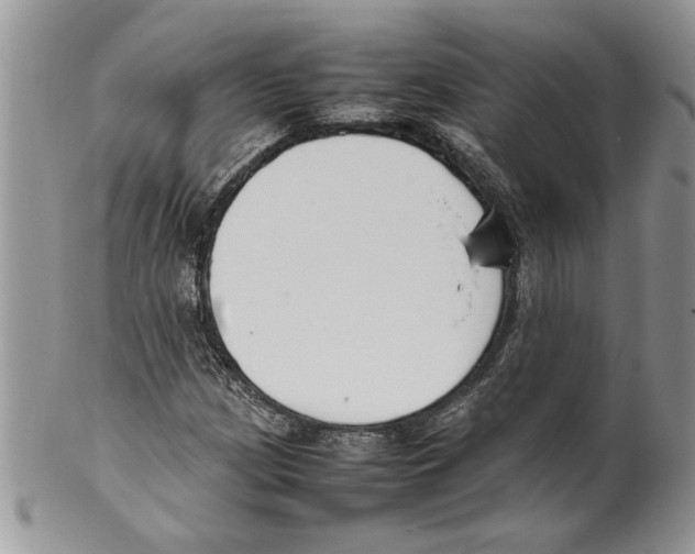 X0000099551209200806131204