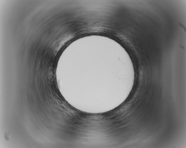 X0000099551210200806131204