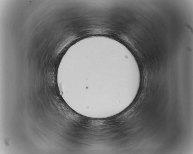 X0000099551211200806131204