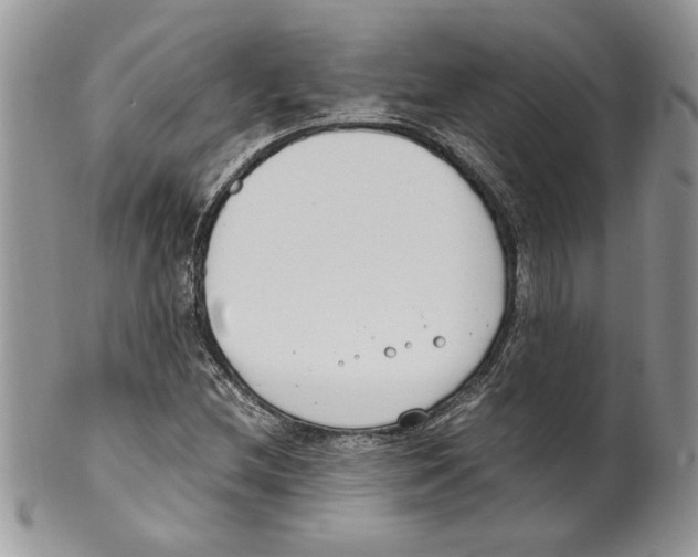 X0000099551212200806131204