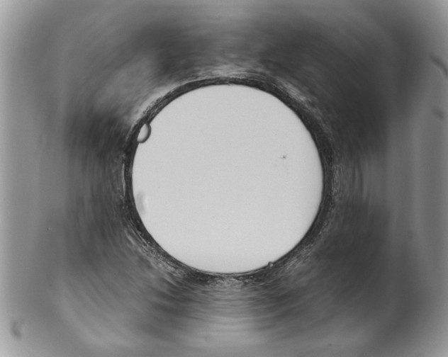 X0000099551214200806131205