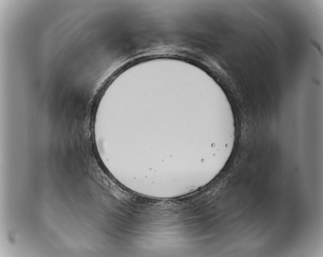 X0000099551216200806131205