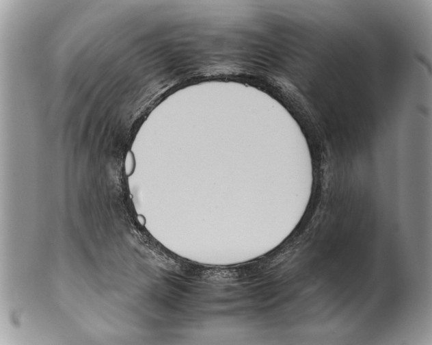 X0000099551217200806131205