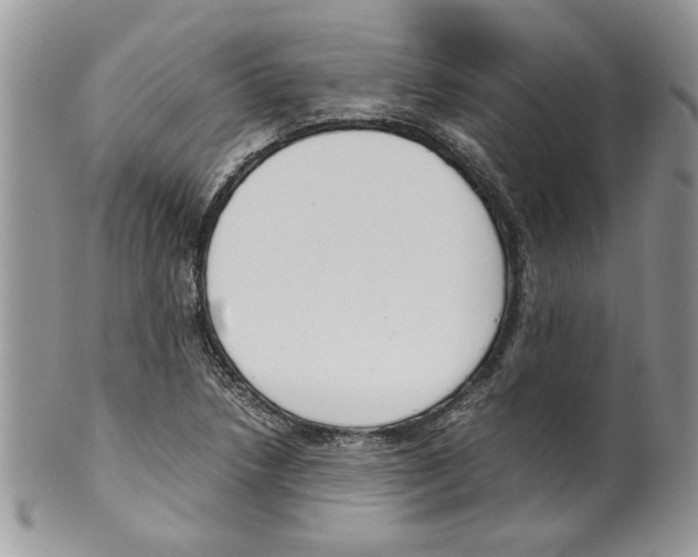 X0000099551218200806131205