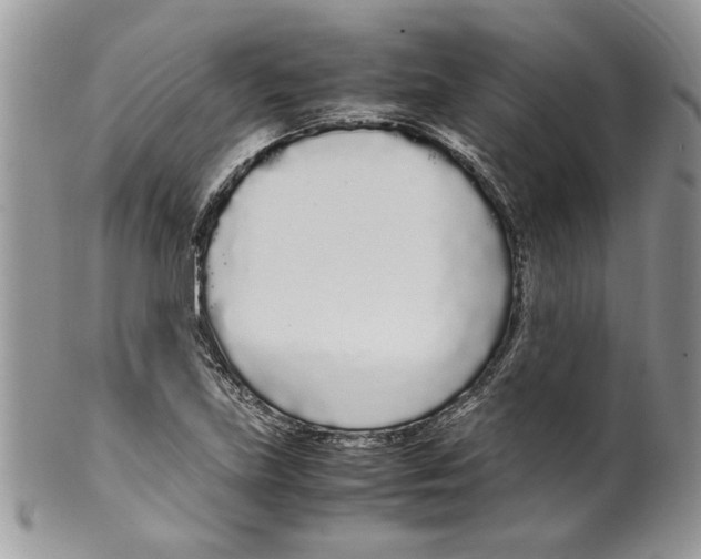 X0000099551219200806131205