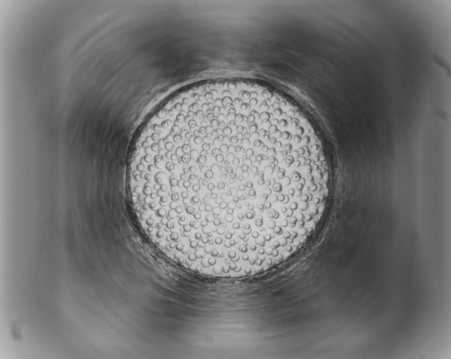 X0000099551220200806131205