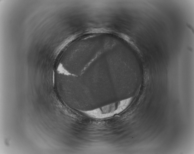 X0000099551221200806131205