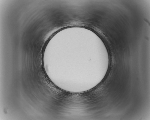 X0000099551222200806131205