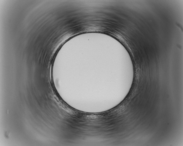 X0000099551227200806131205