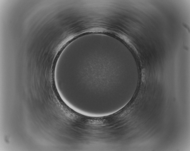 X0000099551229200806131205