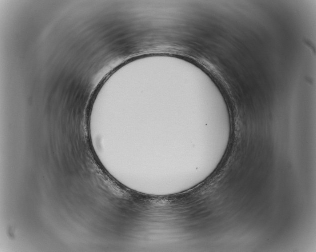 X0000099551230200806131205