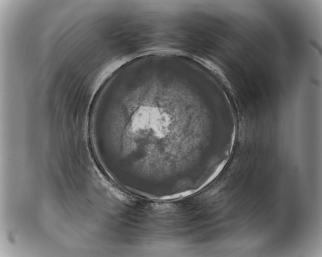 X0000099551231200806131205