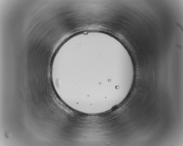 X0000099551232200806131205