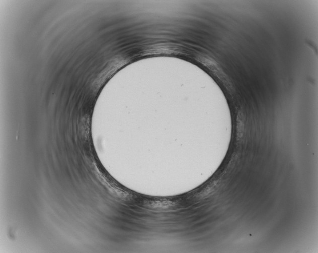 X0000099551233200806131205