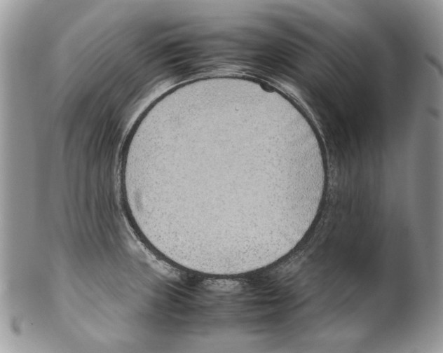 X0000099551235200806131205