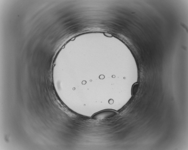 X0000099551236200806131205