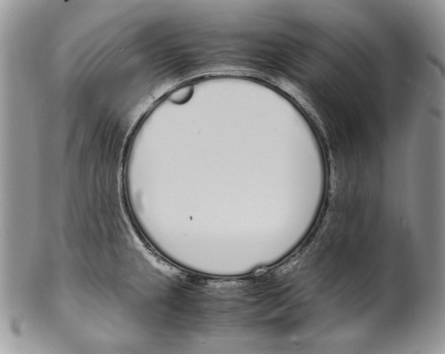 X0000099551237200806131205