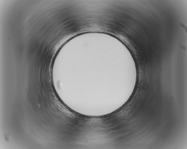 X0000099551238200806131205