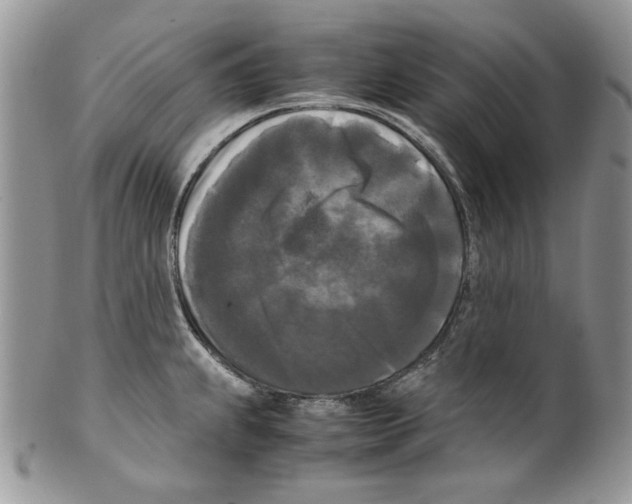 X0000099551239200806131205