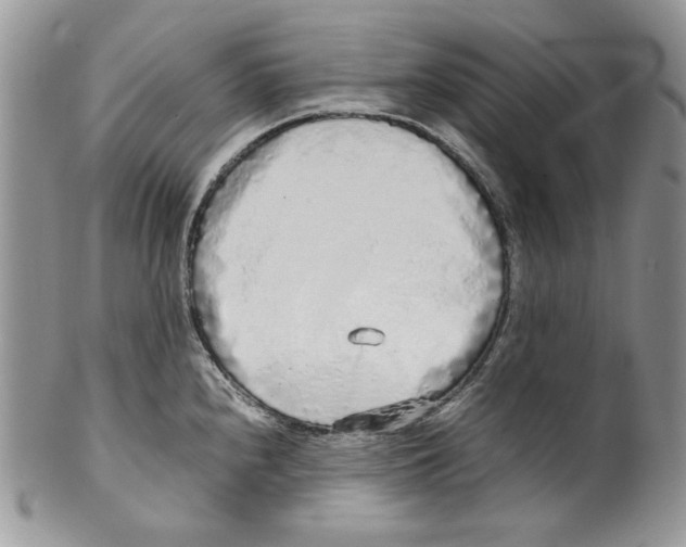 X0000099551240200806131205