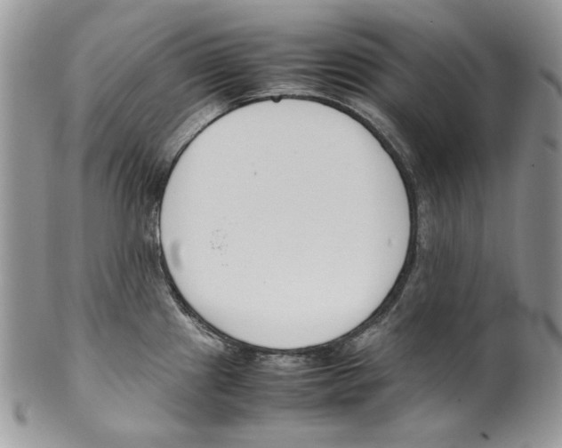 X0000099551241200806131205