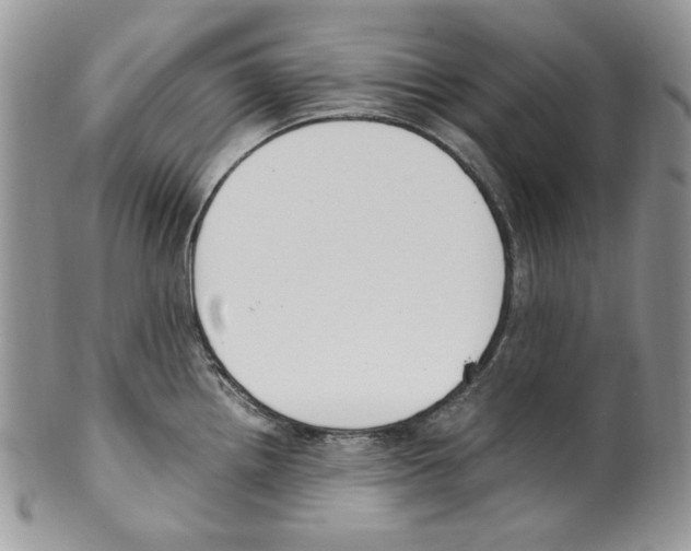 X0000099551242200806131205