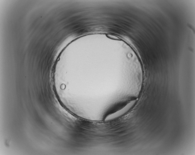 X0000099551243200806131205